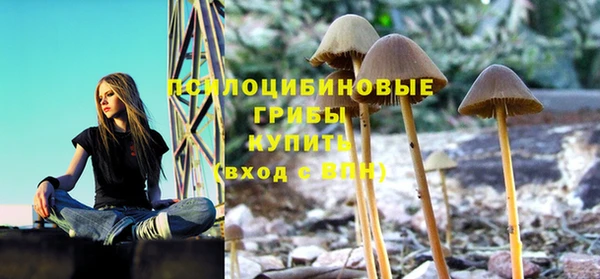 наркотики Богородицк