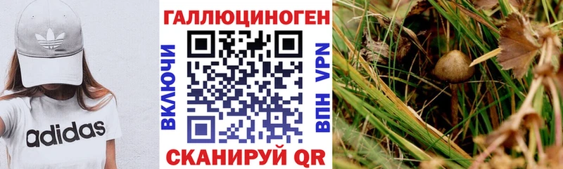 Псилоцибиновые грибы ЛСД Белорецк